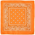 Fashion Bandana 4
