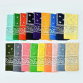 Fashion Bandana 2