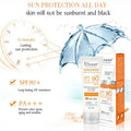 SPF 90+ Sun Shield 6